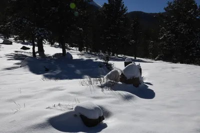 DSC_4891 (Large).JPG